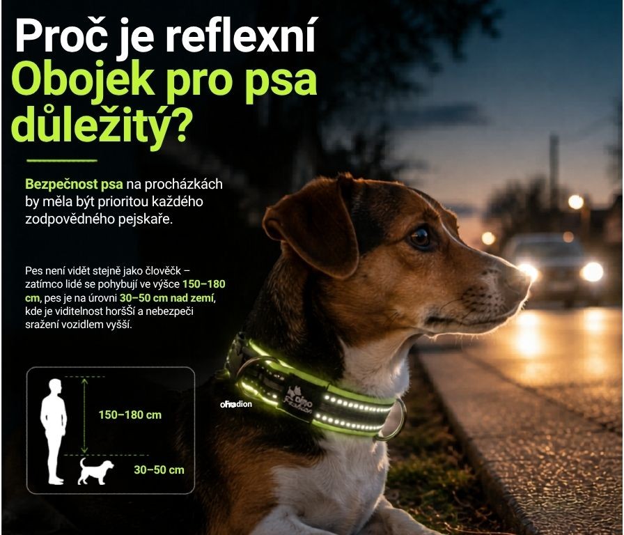 reflexní obojky Dinofashion